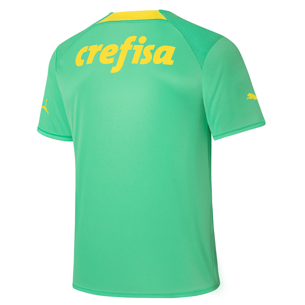 Camisa Palmeiras Puma III 22/23